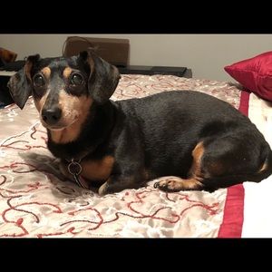 Meet your Posher, Lou anne